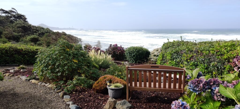 Cory's Bench nestled among flora in our community garden